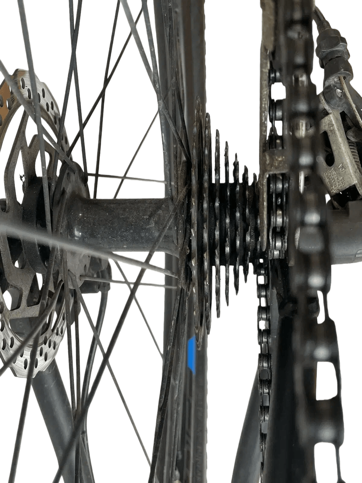 Close-up of the gear