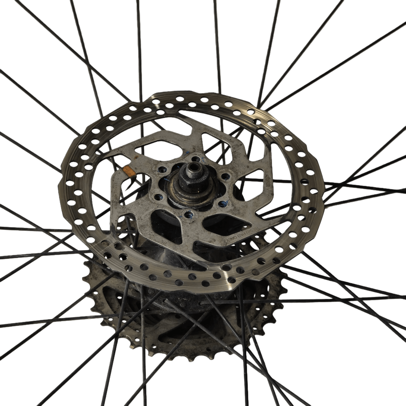 Remove the brake disc screws