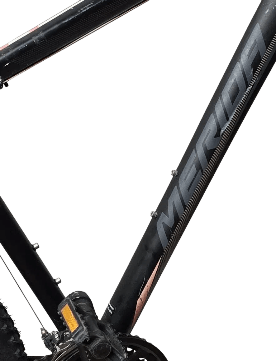 Remove the bottle cage screws