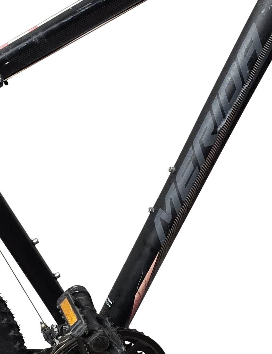 Remove the bottle cage screws
