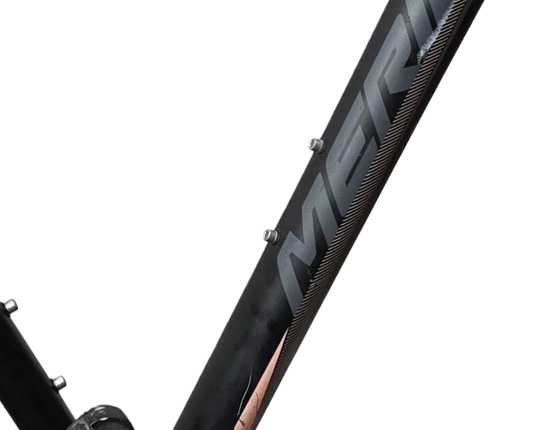 Battery mount on bottle cage mounts